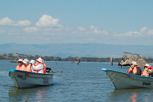 4 Days 3 Nights Boat Ride, Flamingo to Masai Mara Safari