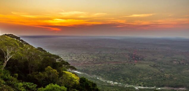 Shimba Hills National Reserve