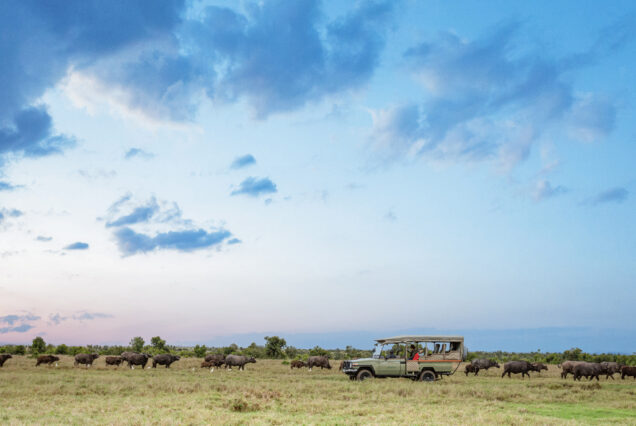 12 Days Kenya Safari to Samburu, Ol Pejeta, Aberdare, Lake Nakuru, Masai Mara, Lake Naivasha, Amboseli & Tsavo West