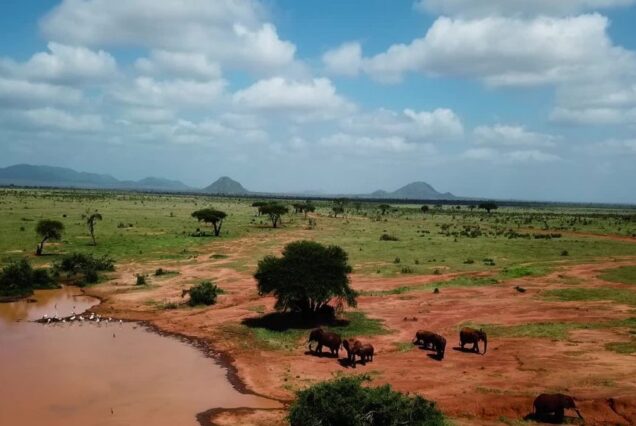 6 Days 5 Nights Safari to Masai Mara, Lake Nakuru, Amboseli & Tsavo West National Park drop off Beach Resorts